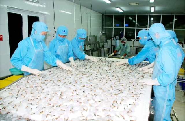Cà Mau đề nghị tháo gỡ khó khăn cho xuất khẩu tôm